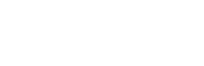 Avilma Services S.A. de C.V. - Logo